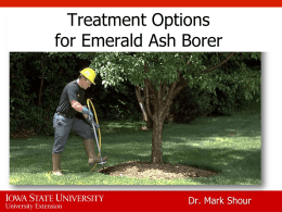 Treatment Options for Emerald Ash Borer