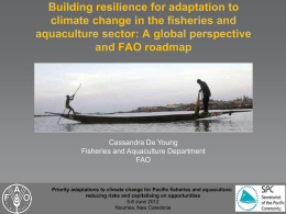 01a FAO Building resilience for adaptation to climate change