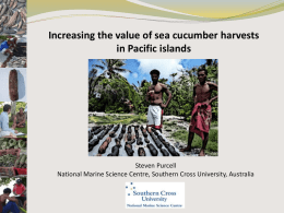 day 2   08 wp10 improving value sea cucumber harvests purcell