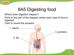Digestion of Food 8A5