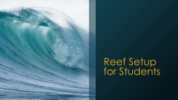 REEF Set Up for Students (PowerPoint version)