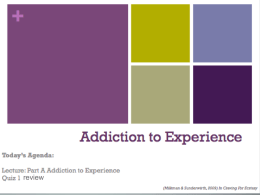 Addiction to Experience Sept 26 .ppt