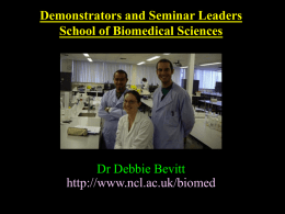 Demonstrating and Seminar leading for the School of Biomedical Sciences