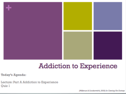 Addiction to Experience Feb 2 and 4th .pptx