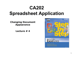 Class 04 Excel CA202.ppt