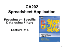 Class 05 Excel CA202.ppt
