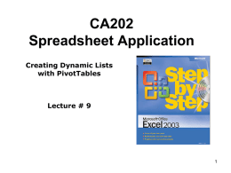 Class 09 Excel CA202.ppt