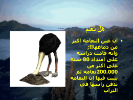 ppt