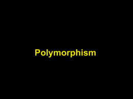 Notes 05: Polymorphism