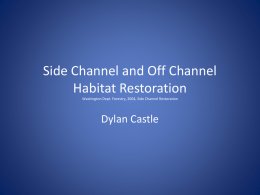 Off Channel Habitats and Floodplain Connections (*.pptx)