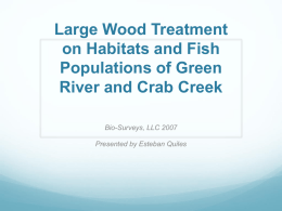 Large Wood Case Study - Green River / Crab Creek (*.pptx)