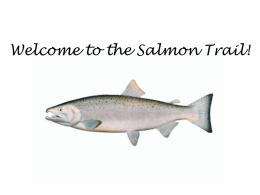 Welcome to the Salmon Trail!.ppt