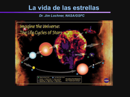 Download Spanish Translation of "Life Cycles" Presentation