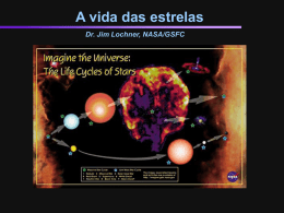 Download Portuguese Translation of "Life Cycles" Presentation