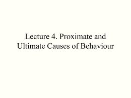 lecture4.ppt.ppt