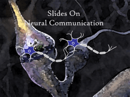 Slides on Neural Communication
