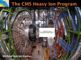 "The CMS Heavy-Ion Program"