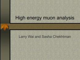 High energy muon analysis (Wai and Chekhtman)