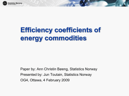Efficiency Coefficients of Energy Commodities (Ann Christin B eng, Statistics Norway)