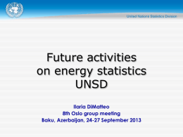 Future Activities of UNSD