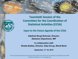 Input to the future agenda of CCSA - Prepared by IMF and World Bank