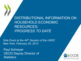 Distributional Information on Household Economic Resources: Progress to Date