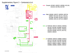 Supplementary Figure 2 R1