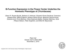 plantcellv22i11p3543