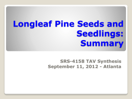 LLP Seeds and Seedlings