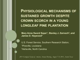 Physiological mechanisms of sustained growth despite crown scorch in a young longleaf pine plantation