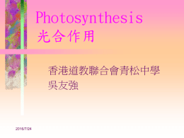 expphotosynthesis1