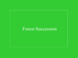 ForestSuccession