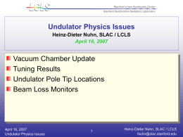 Undulator Physics Issues