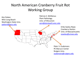 Cranberry Fruit Rot Management Scenarios (PPTX)
