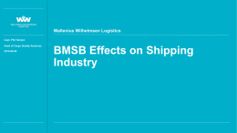 BMSB Effects on the Shipping Industry