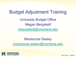 Budget Adjustment Training PowerPoint
