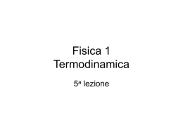 thermodinamica 5