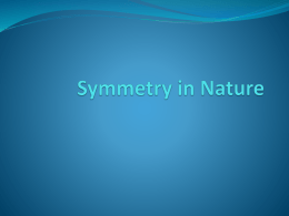 Power Point Presentation