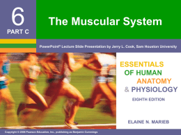 PPT notes #3