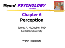 Ch. 6 - Perception