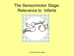 4.03 The Sensorimotor Stage