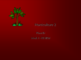 Plant ID 1 REVIEW