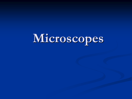 Microscope powerpoint