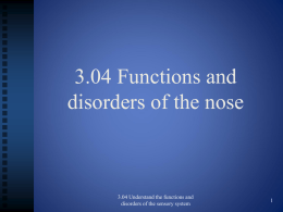 3.04_Functions_and_disorders_of_the_nose