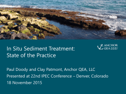 IN SITU SEDIMENT TREATMENT:  STATE OF THE PRACTICE