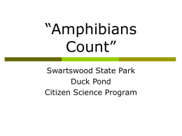 PPT