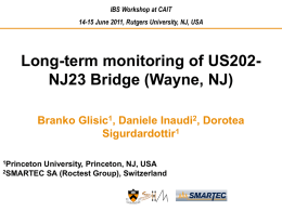 Long-Term Monitoring of the IBS Bridge,