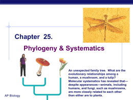 Phylogeny Systematics
