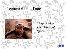 Chapter 24 - Origin of Species