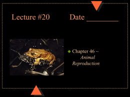 Chapter 46 - Animal Reproduction